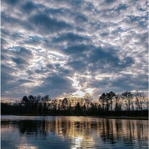 Meet your Posher, Tami